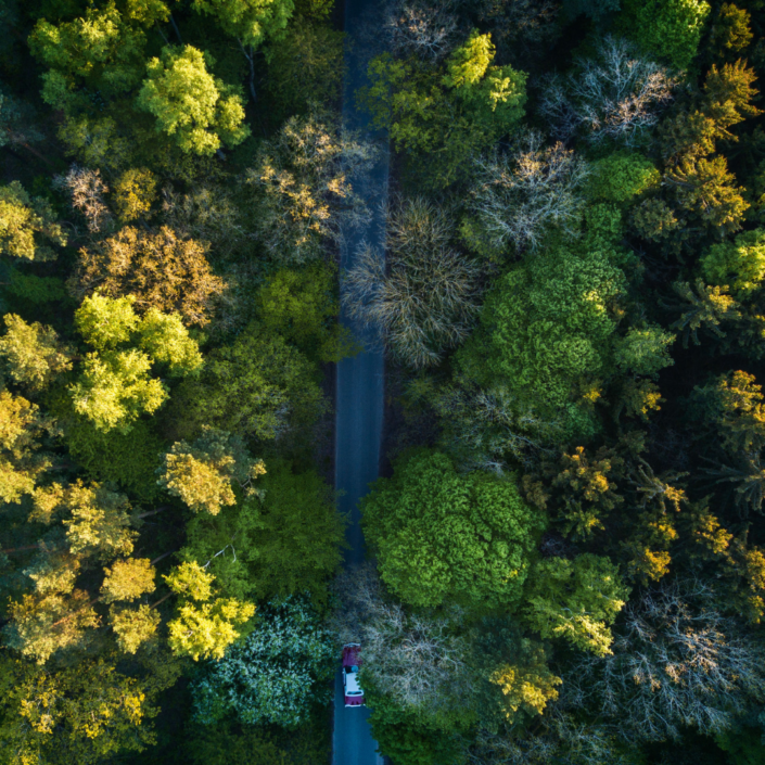 Klimaschutz-Challenge