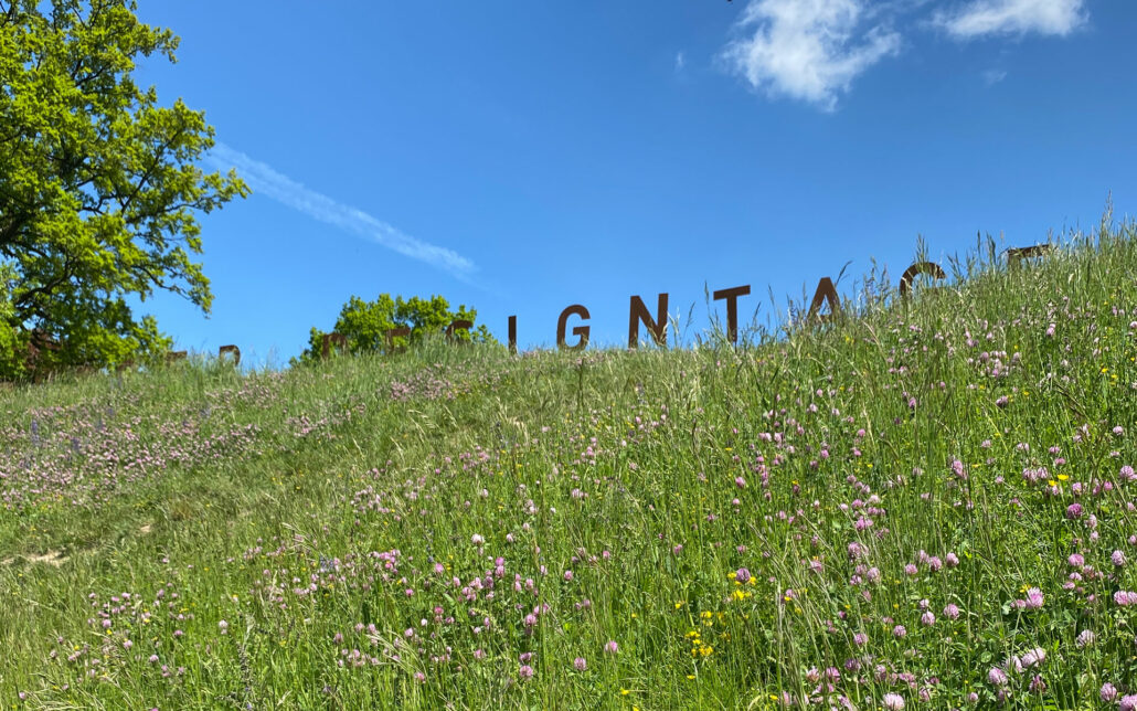 Designtage2022_Hofgarten